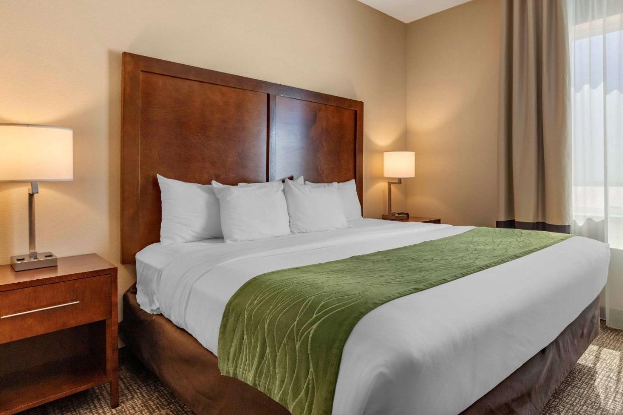 Comfort Inn & Suites Edgewood Buitenkant foto