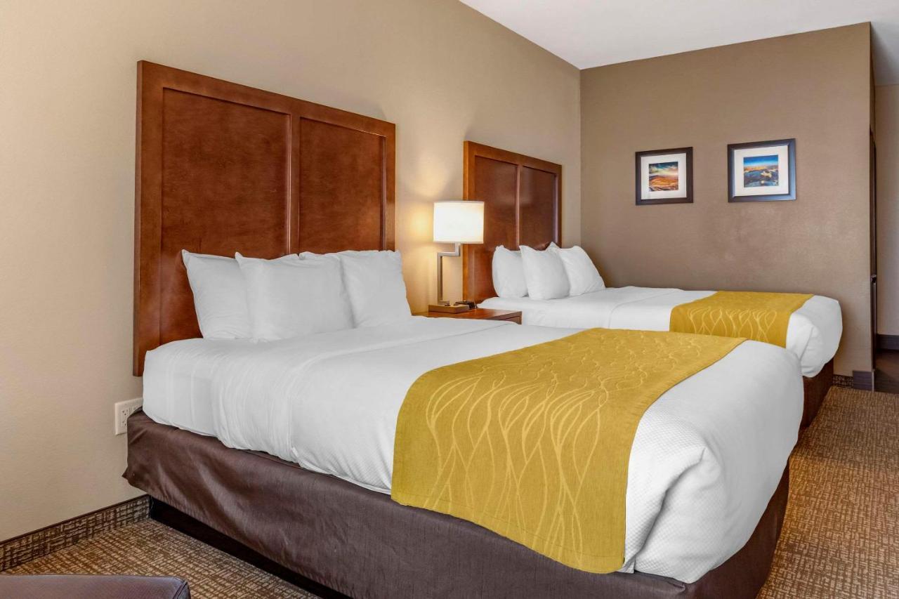 Comfort Inn & Suites Edgewood Buitenkant foto