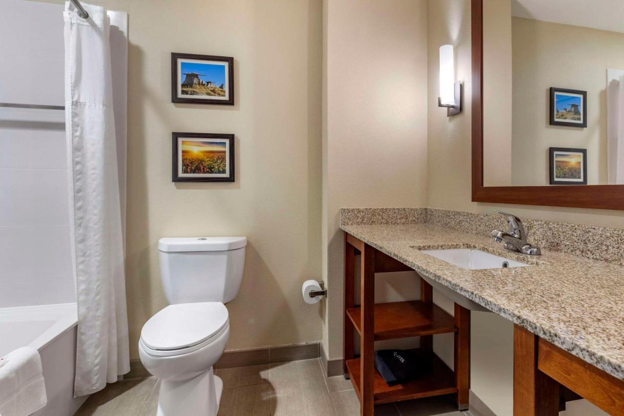 Comfort Inn & Suites Edgewood Buitenkant foto