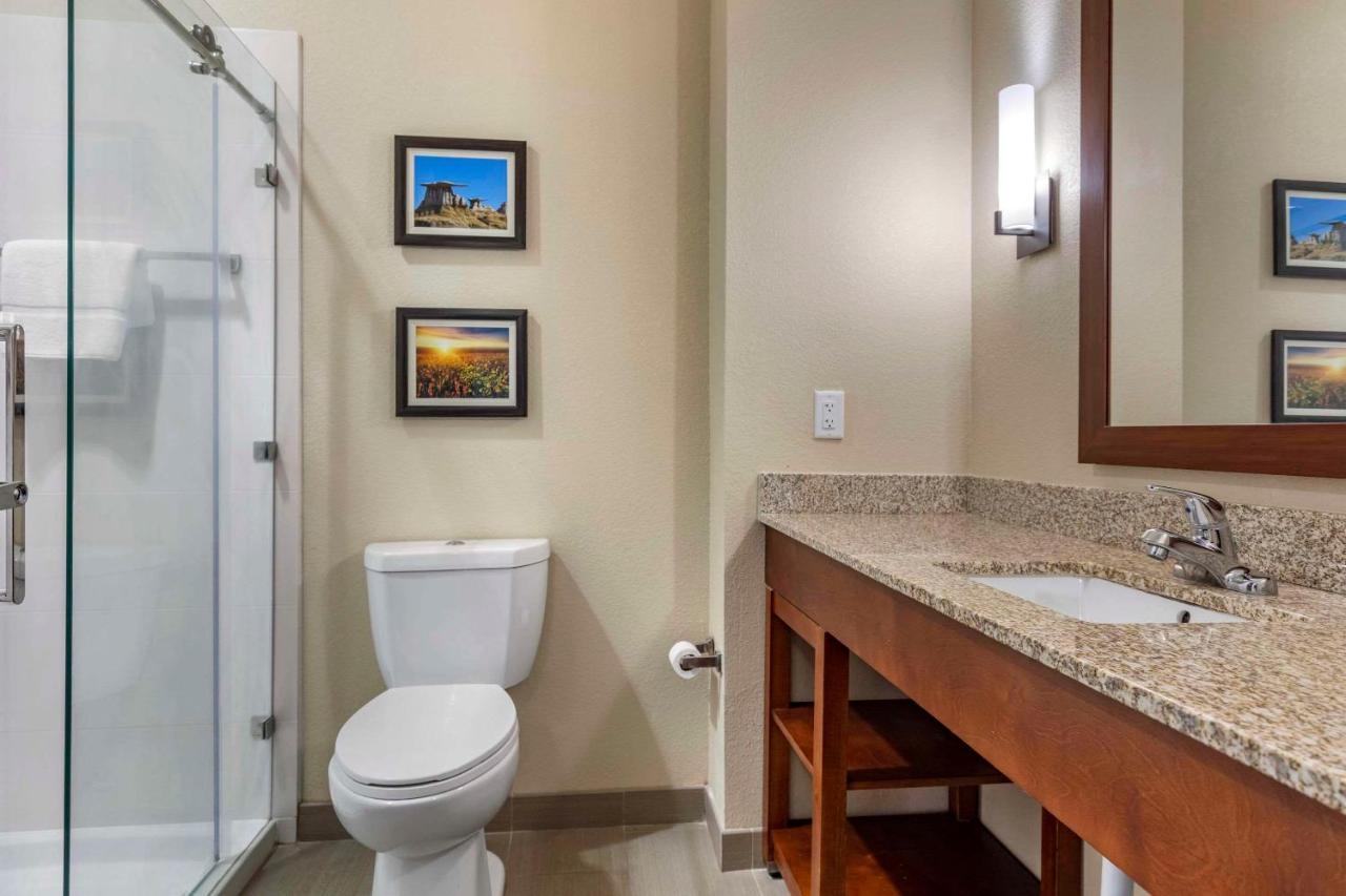 Comfort Inn & Suites Edgewood Buitenkant foto
