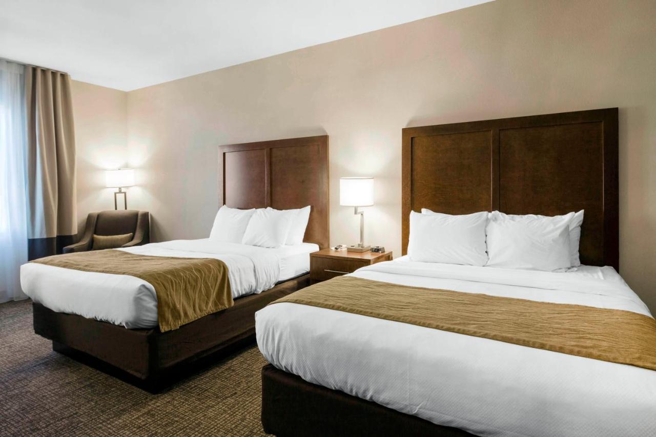 Comfort Inn & Suites Edgewood Buitenkant foto